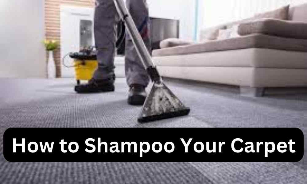 How to Shampoo Your Carpet